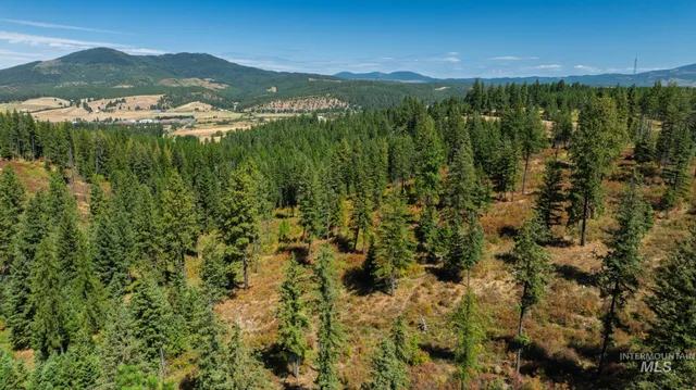 $495,000 | Nka O'reilly Road, Princeton, ID 83857