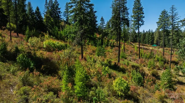 $495,000 | Nka O'reilly Road, Princeton, ID 83857