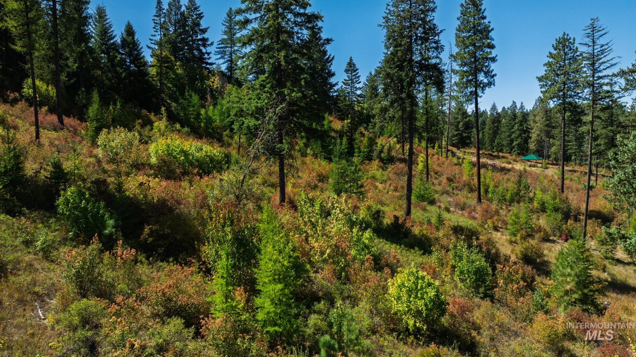 Nka O'reilly Road Princeton, ID 83857 - Photo 16 of 34