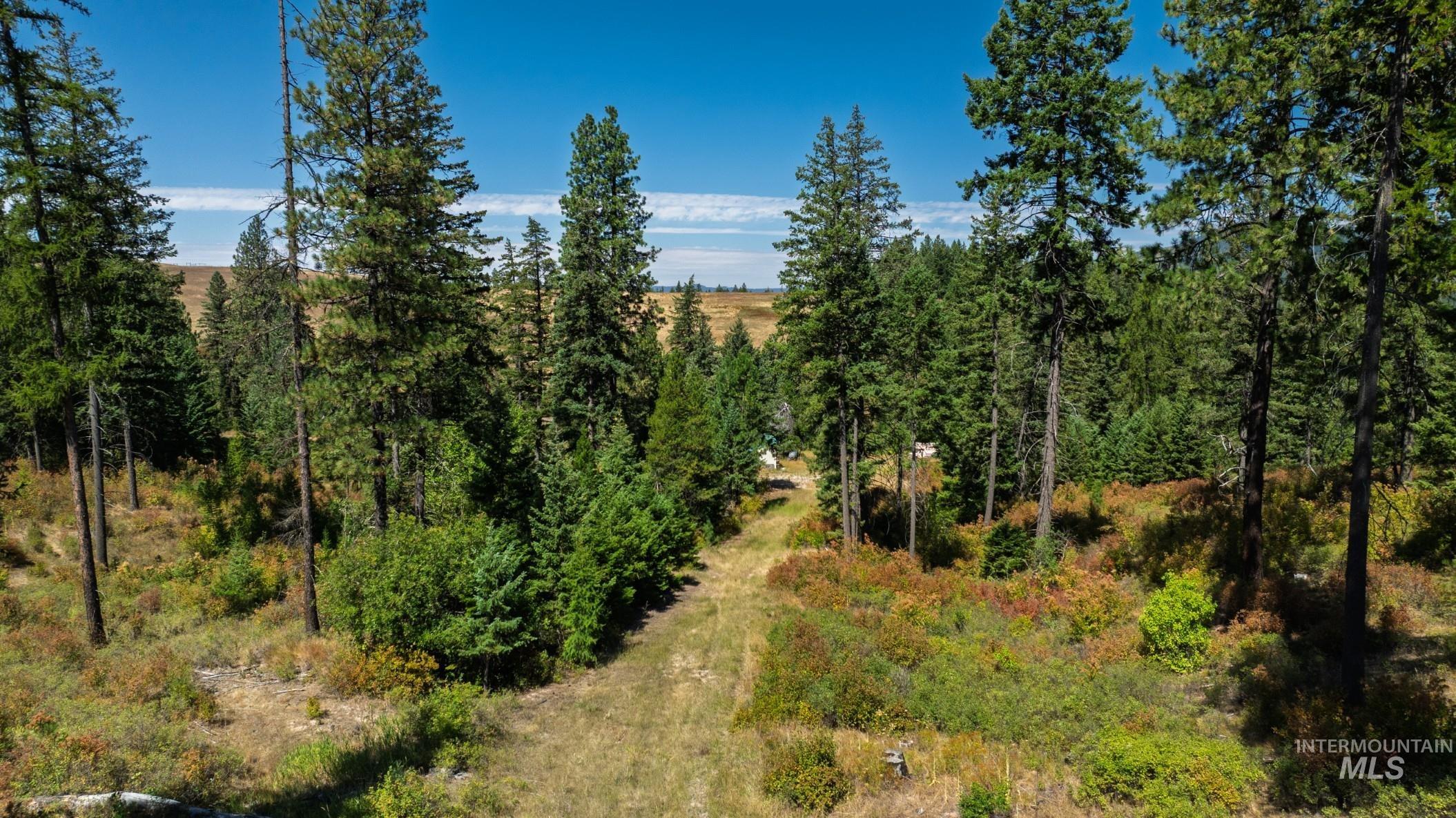 Nka O'reilly Road Princeton, ID 83857 - Photo 17 of 34