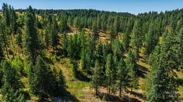 $495,000 | Nka O'reilly Road, Princeton, ID 83857