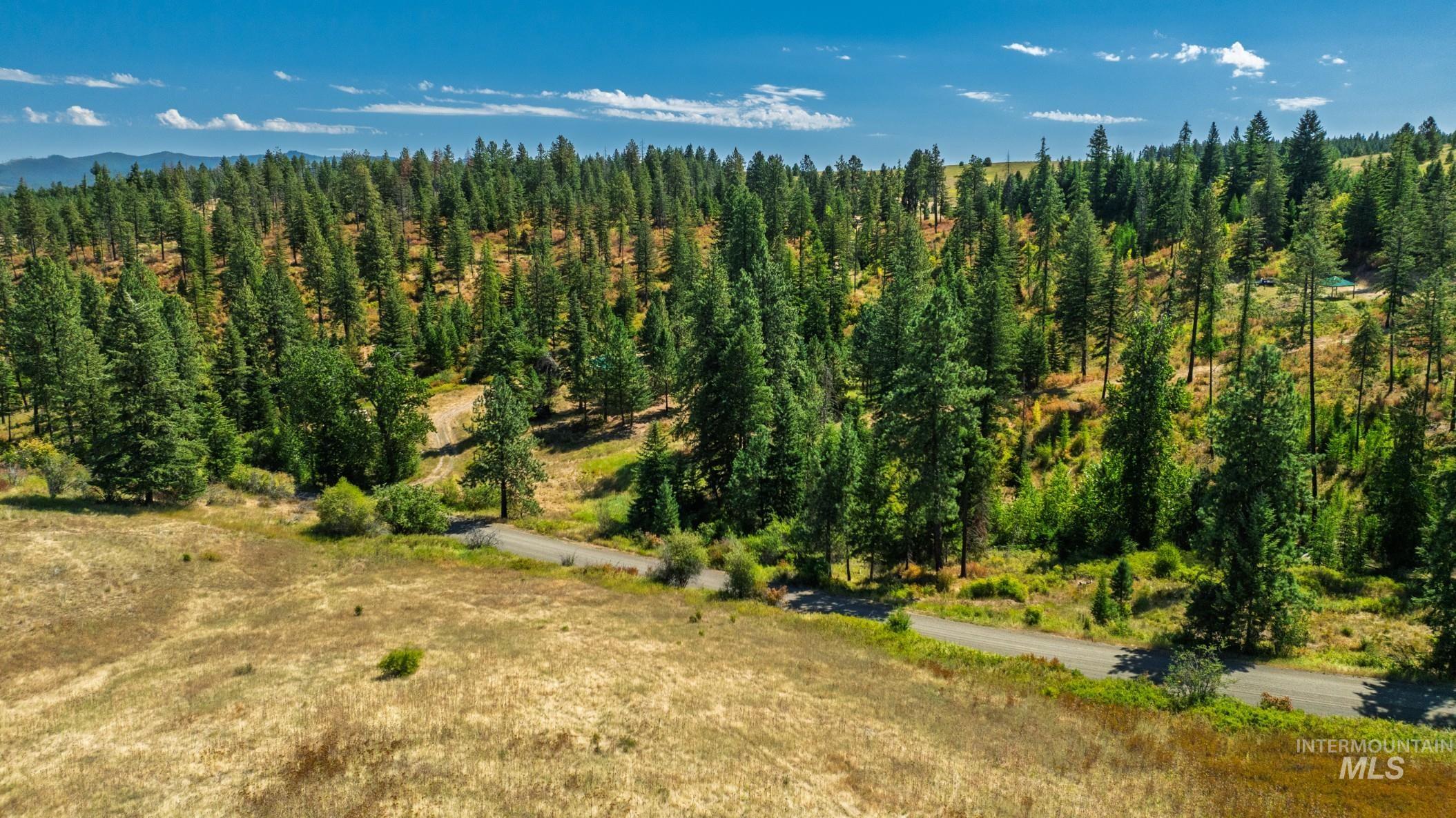 Nka O'reilly Road Princeton, ID 83857 - Photo 19 of 34