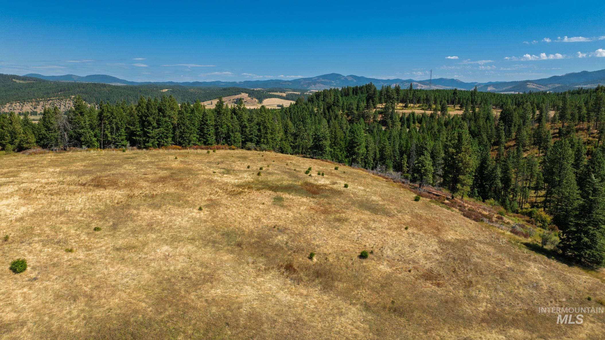 Nka O'reilly Road Princeton, ID 83857 - Photo 20 of 34