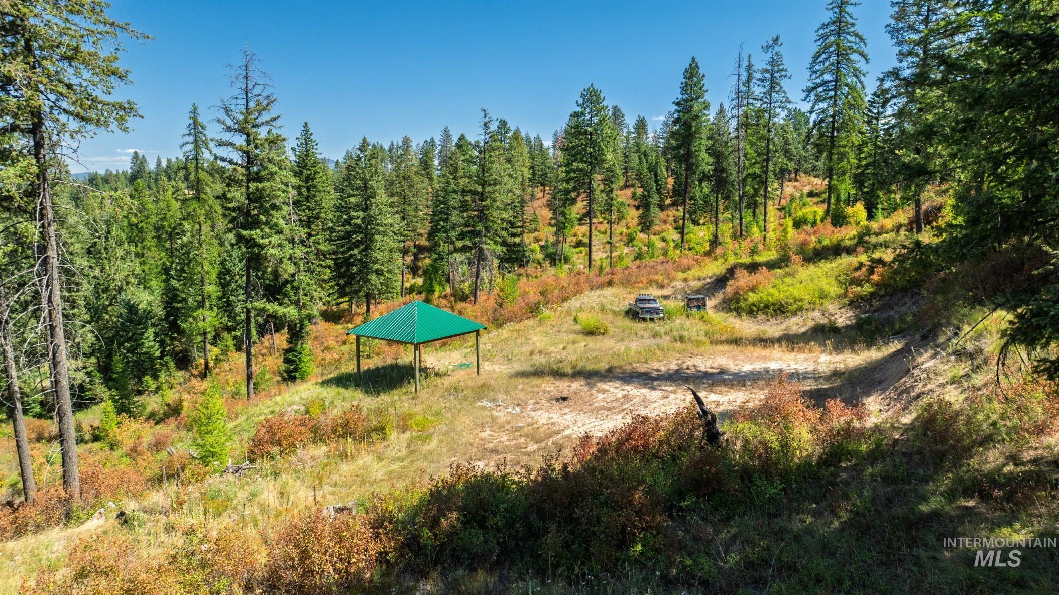 Nka O'reilly Road Princeton, ID 83857 - Photo 2 of 34
