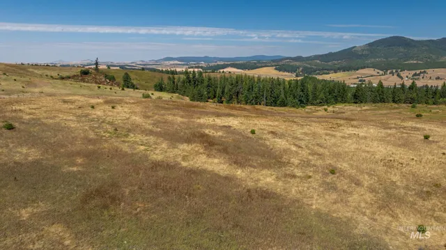 $495,000 | Nka O'reilly Road, Princeton, ID 83857