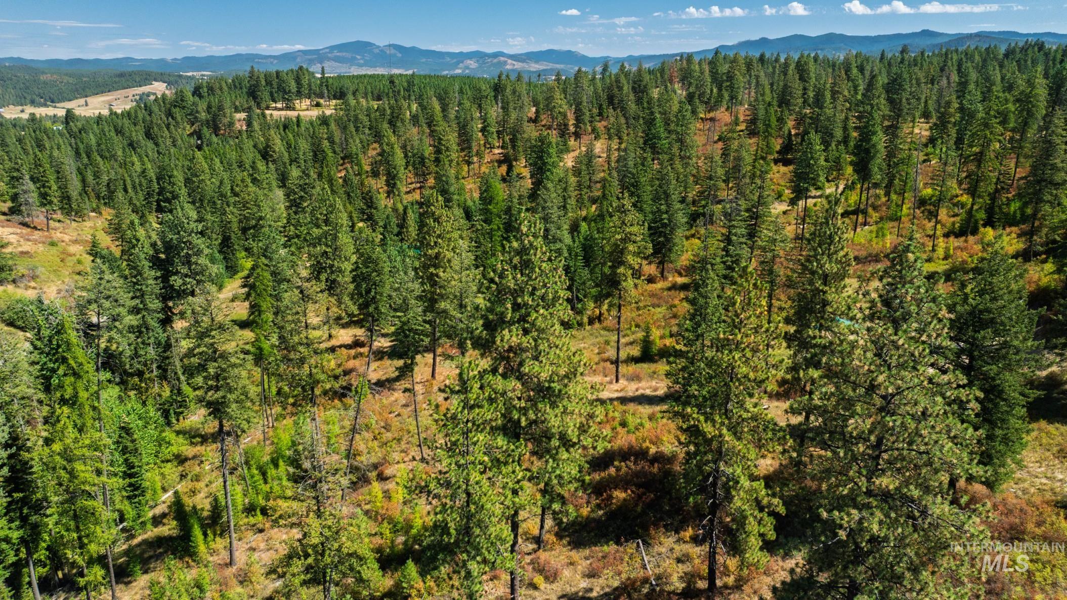 Nka O'reilly Road Princeton, ID 83857 - Photo 22 of 34