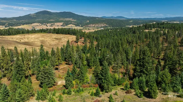 $495,000 | Nka O'reilly Road, Princeton, ID 83857