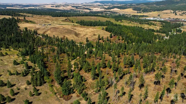 $495,000 | Nka O'reilly Road, Princeton, ID 83857