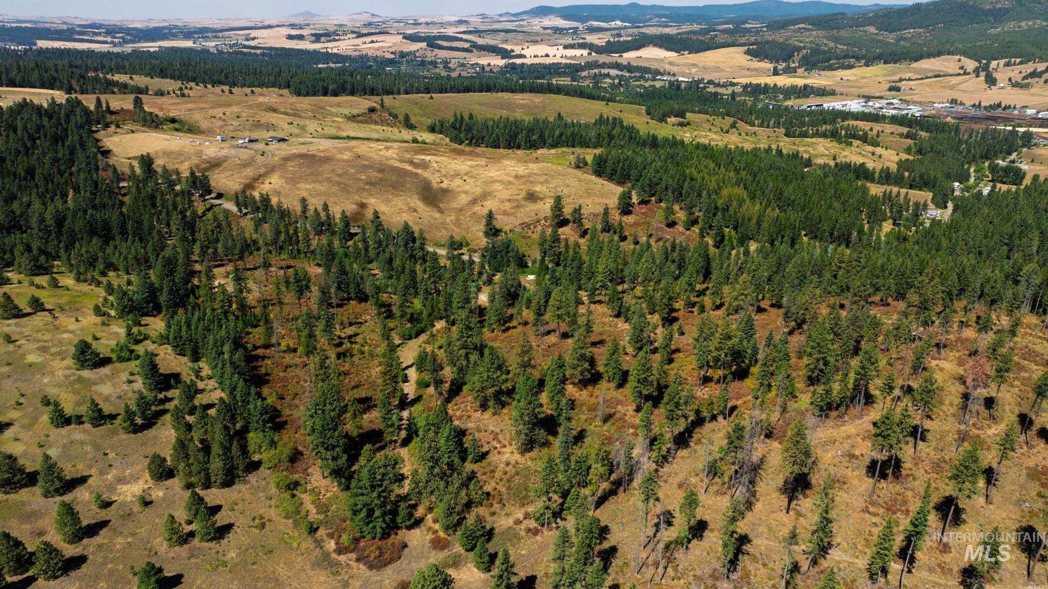 Nka O'reilly Road Princeton, ID 83857 - Photo 24 of 34