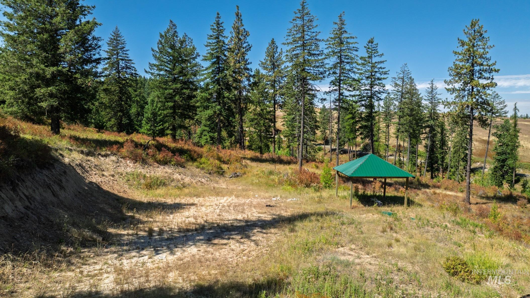 Nka O'reilly Road Princeton, ID 83857 - Photo 3 of 34