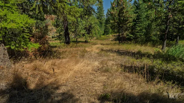 $495,000 | Nka O'reilly Road, Princeton, ID 83857