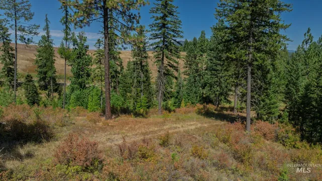 $495,000 | Nka O'reilly Road, Princeton, ID 83857