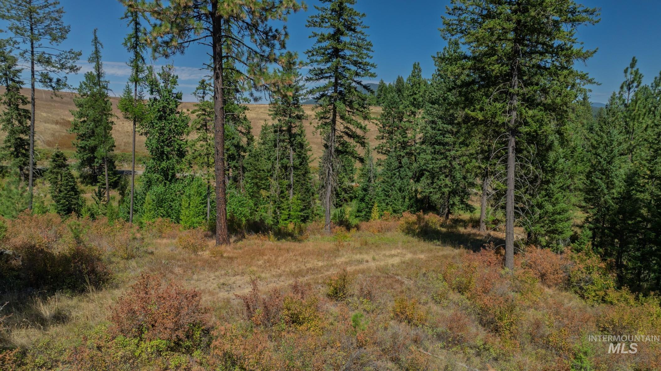 Nka O'reilly Road Princeton, ID 83857 - Photo 6 of 34