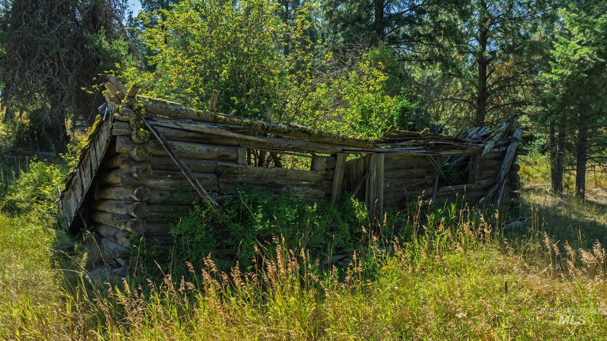 Nka O'reilly Road Princeton, ID 83857 - Photo 7 of 34