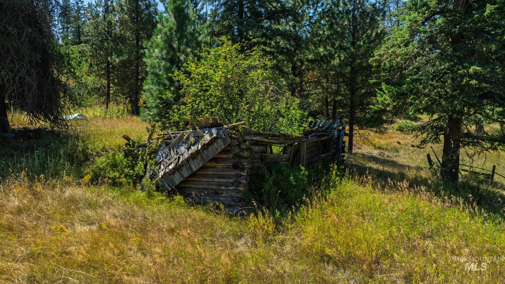 Nka O'reilly Road Princeton, ID 83857 - Photo 8 of 34