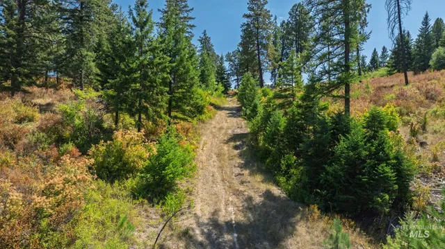 $495,000 | Nka O'reilly Road, Princeton, ID 83857