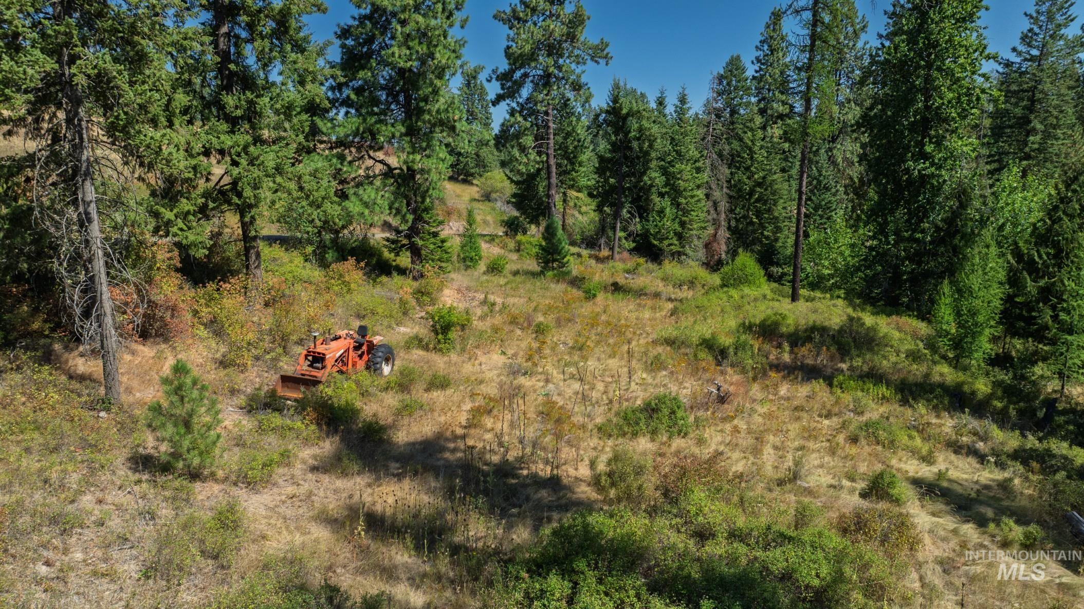 Nka O'reilly Road Princeton, ID 83857 - Photo 10 of 34