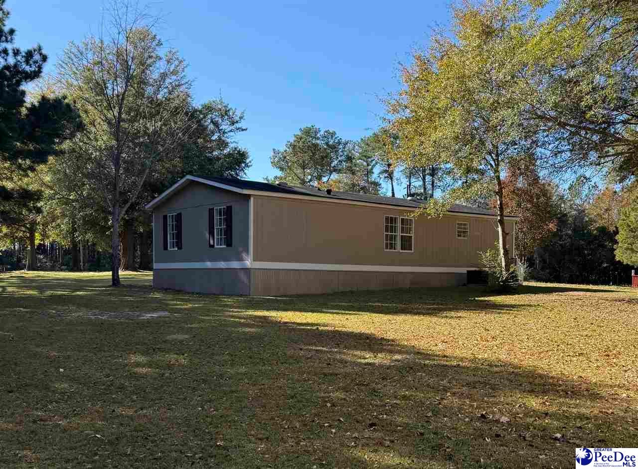 302 McCowns Millpond Road Darlington, SC 29540 - Photo 28 of 30 Gallery Image 28