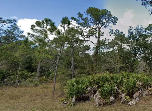 $18,000 | 901 Magnolia Drive, Indian Lake Estates, FL 33843