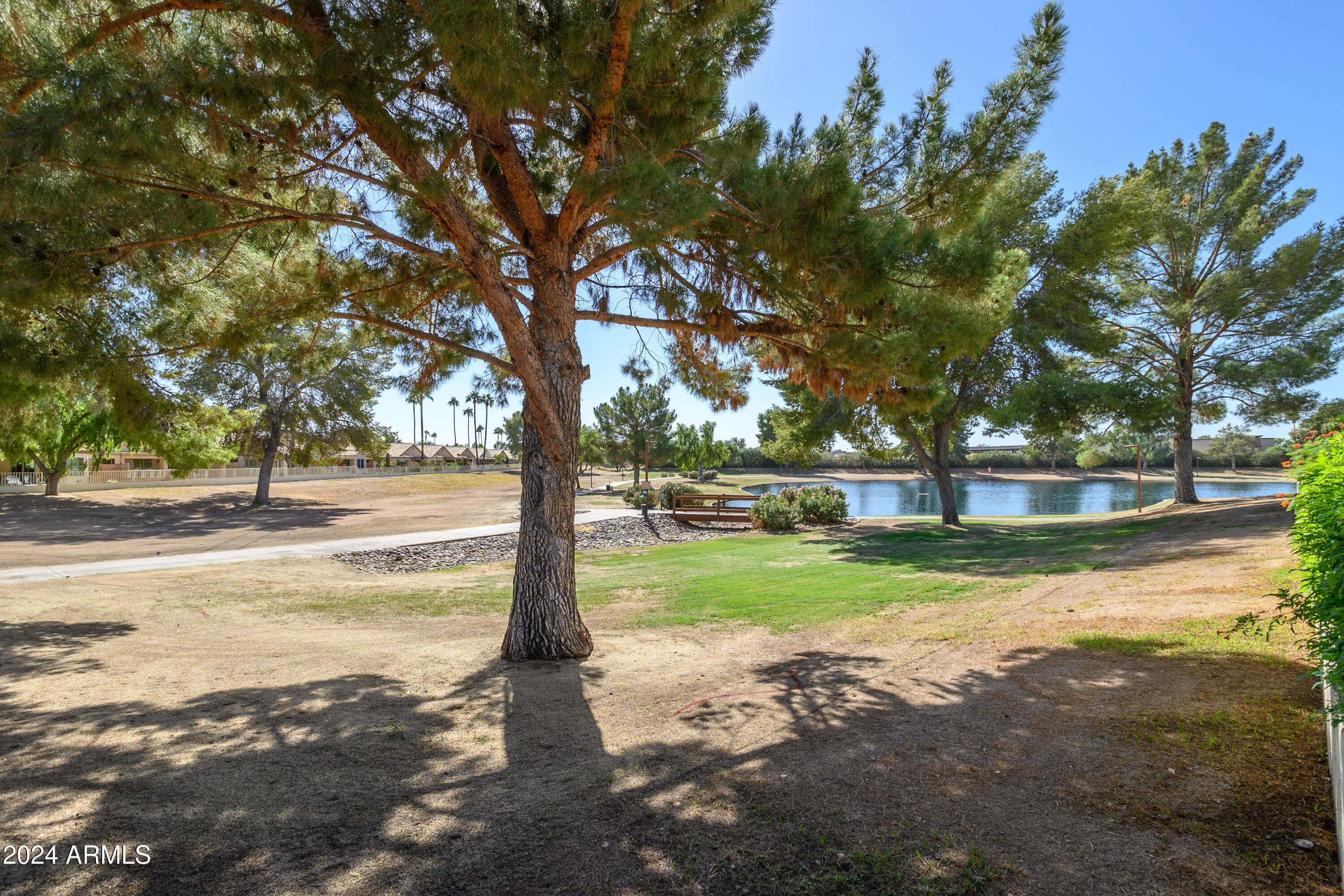 14585 West Raindance Road Surprise, AZ 85374 - Photo 14 of 41 Lake View
