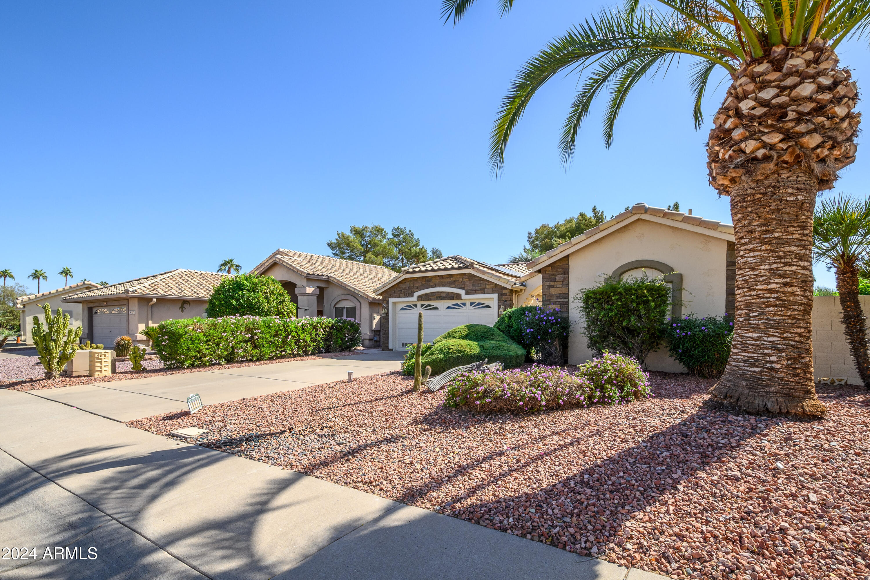 14585 West Raindance Road Surprise, AZ 85374 - Photo 3 of 41 Front Landscape