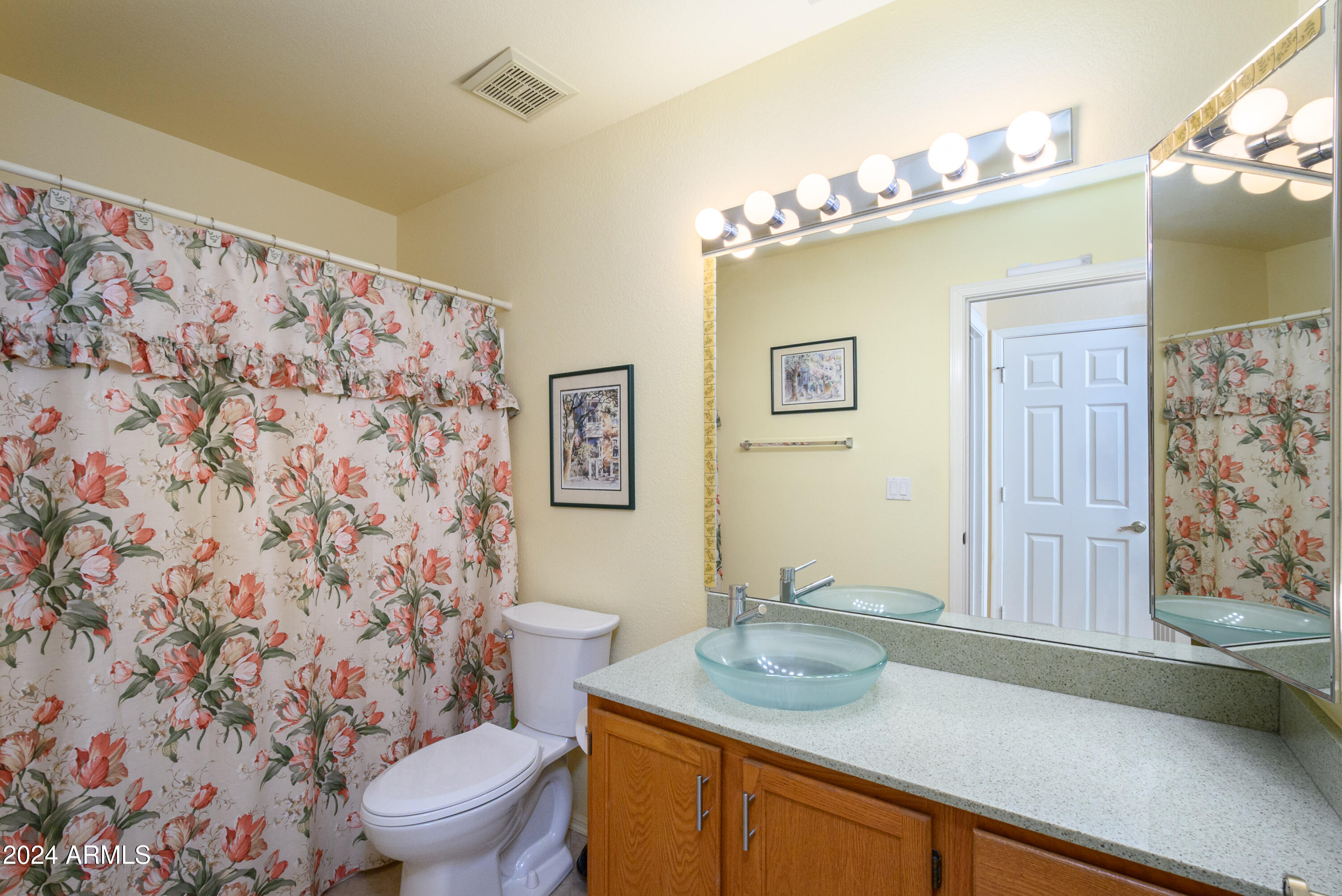 14585 West Raindance Road Surprise, AZ 85374 - Photo 33 of 41 Guest Bath