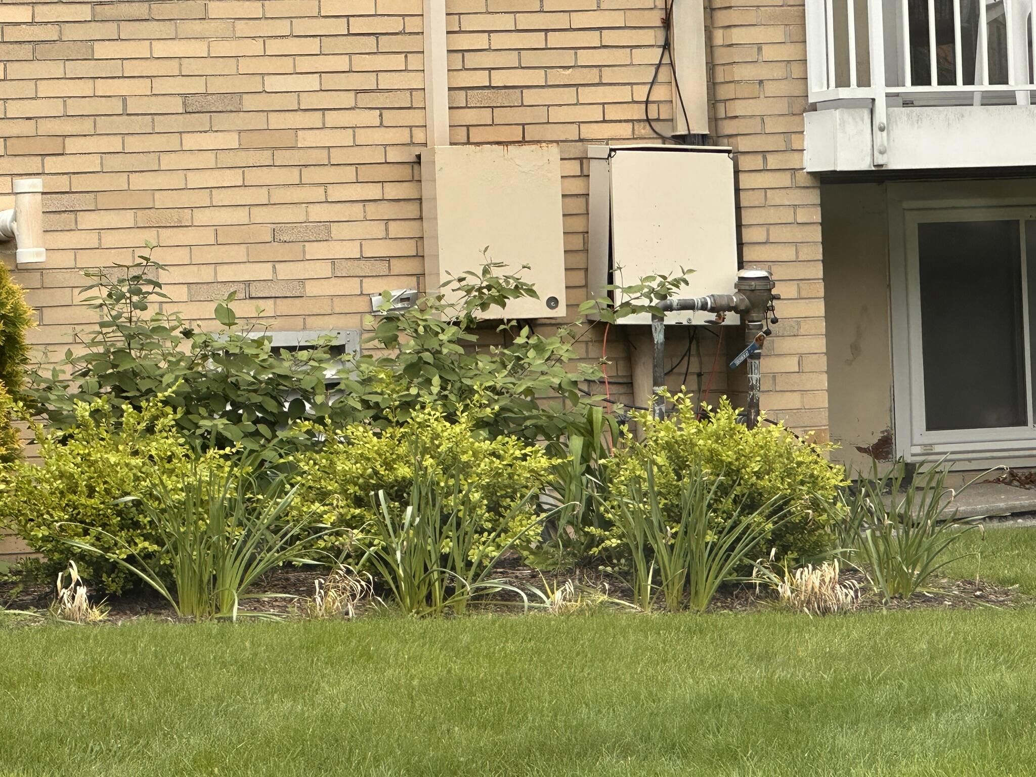 4921 North Crooks Road, Unit N10 Royal Oak, MI 48073 - Photo 22 of 24 FIND THE KEY