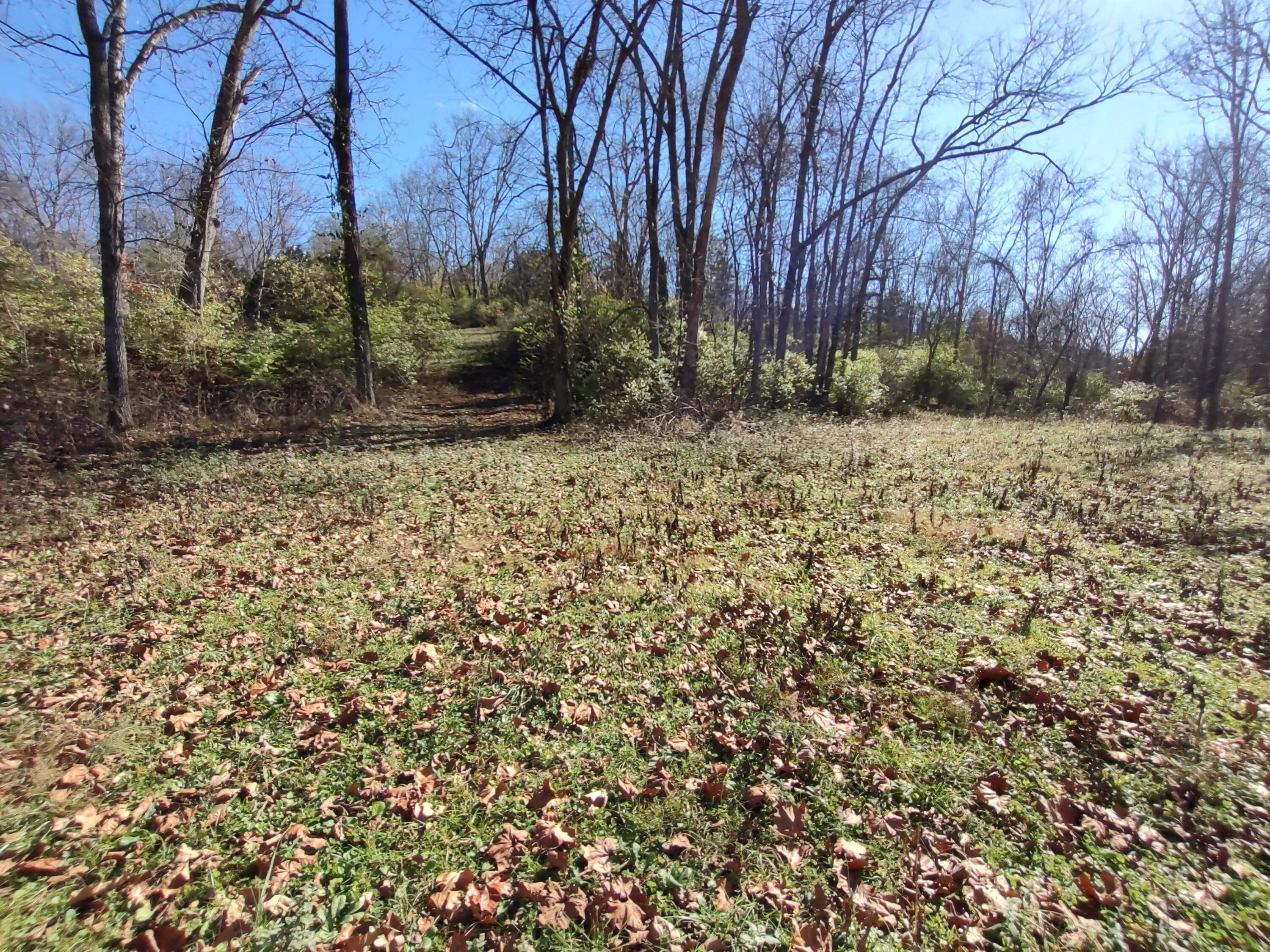2199 Whetstone Road Carlisle, KY 40311 - Photo 43 of 57 IMG_20241112_122658257_HDR