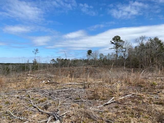 2942 B Allen Road Southeast Brookhaven, MS 39601 - Photo 16 of 24 18 timberland-for-sale-in-lincoln-county