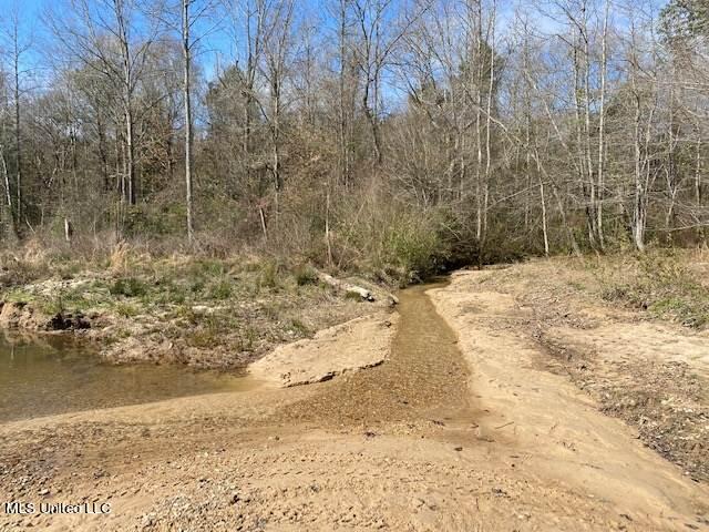 2942 B Allen Road Southeast Brookhaven, MS 39601 - Photo 8 of 24 10 timberland-for-sale-in-lincoln-county