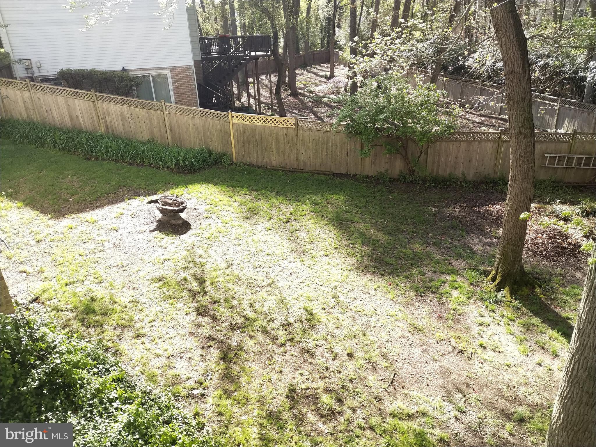 8312 Crown Court Road Alexandria, VA 22308 - Photo 30 of 68 Rear yard