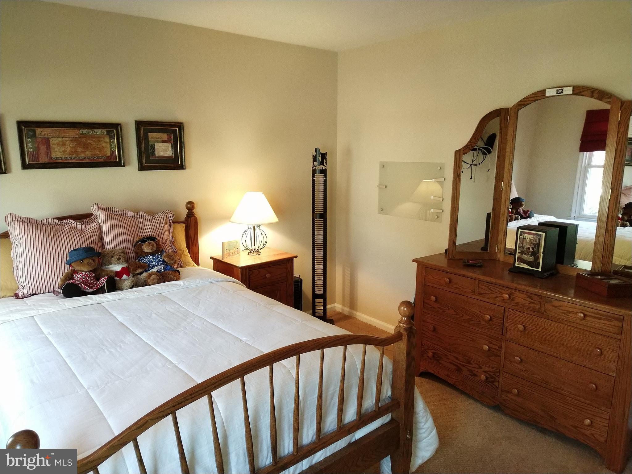 8312 Crown Court Road Alexandria, VA 22308 - Photo 46 of 68 BR 2