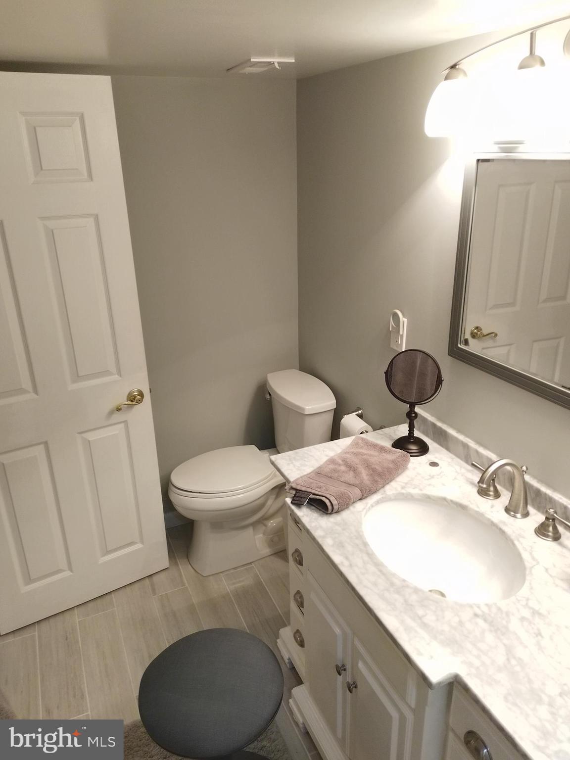 8312 Crown Court Road Alexandria, VA 22308 - Photo 63 of 68 LL Bath reverse view of room