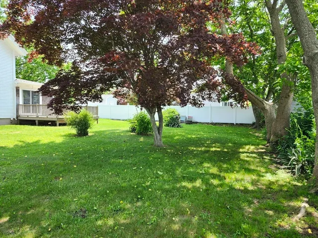 a huge green field with lots of trees