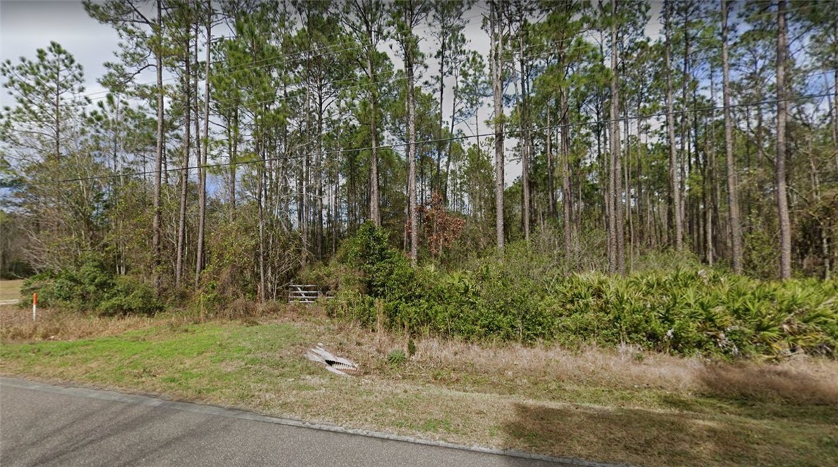 Lot 77 Ford Road Bryceville, FL 32009 - Photo 1 of 3 Gallery Image 1