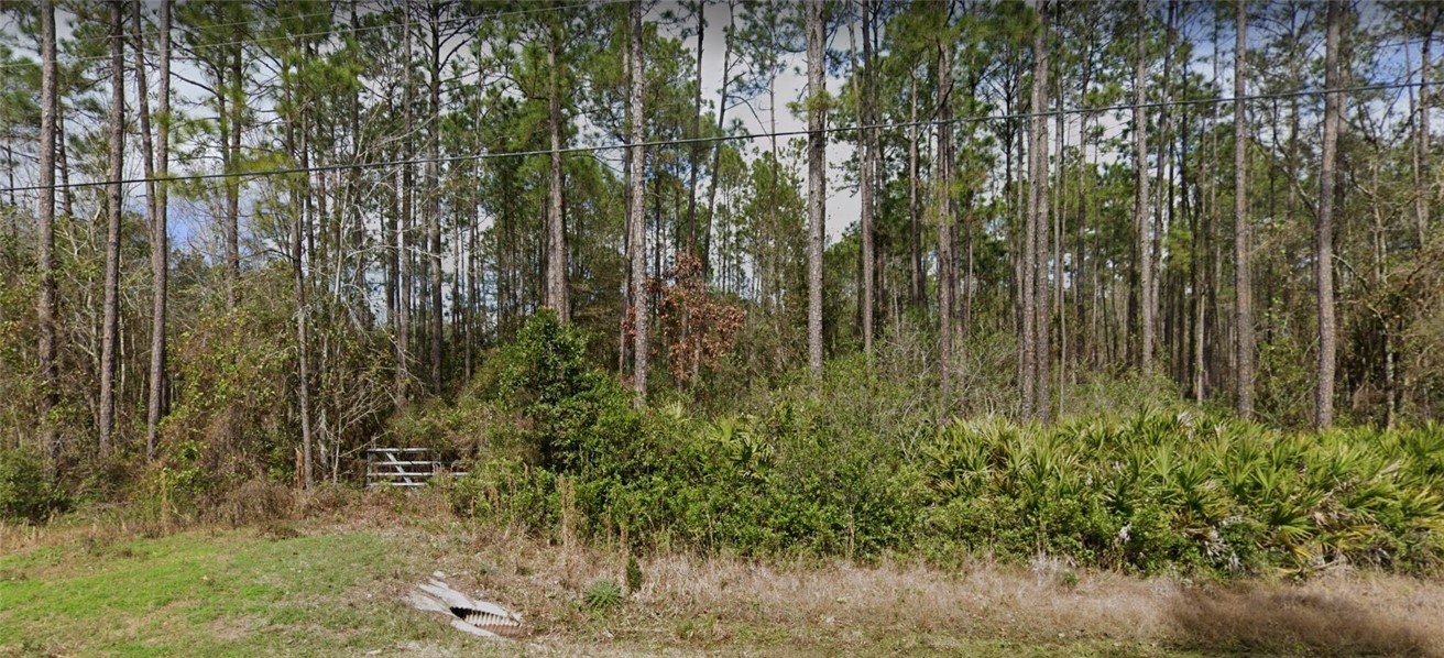 Lot 77 Ford Road Bryceville, FL 32009 - Photo 3 of 3 Gallery Image 3