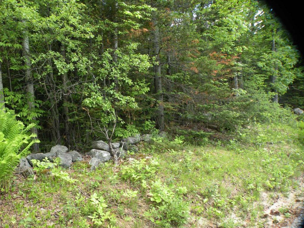 0 Ryerson Hill Road South Paris, ME 04281 - Photo 7 of 9 Photo