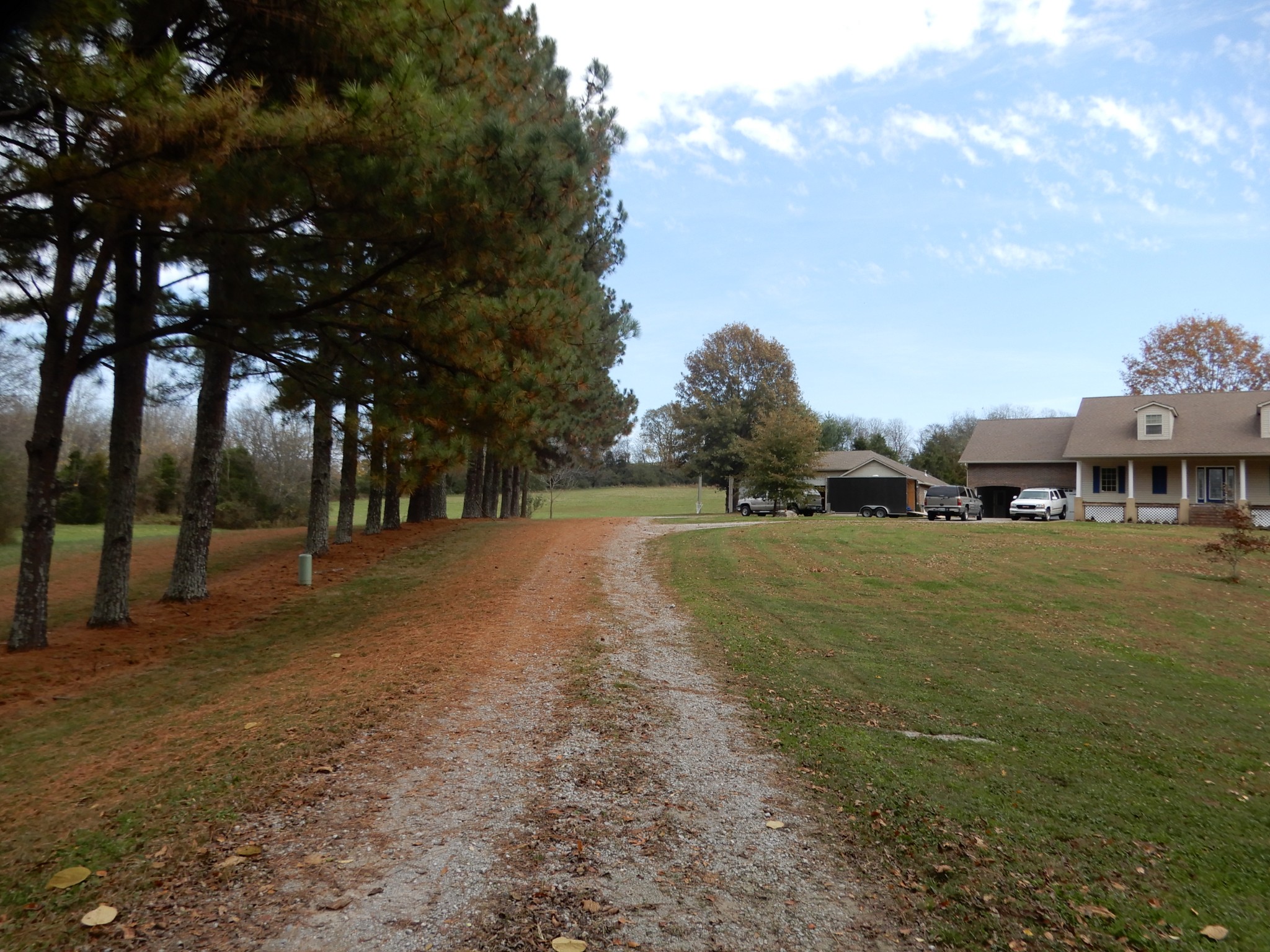 1926 Hunters Run Road Lewisburg, TN 37091 - Photo 22 of 50 View traveling driveway to house. House sits back off Hunters Run Rd and is not part of subdivision.