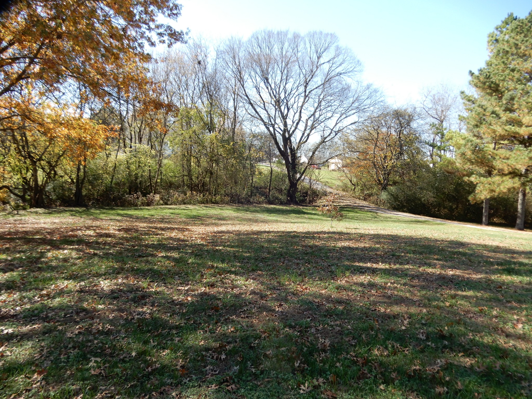 1926 Hunters Run Road Lewisburg, TN 37091 - Photo 28 of 50 Looking toward Hunters Run Road