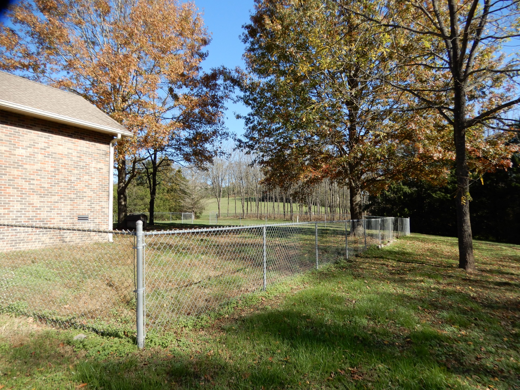 1926 Hunters Run Road Lewisburg, TN 37091 - Photo 48 of 50 Rear yard as seen from side of house.