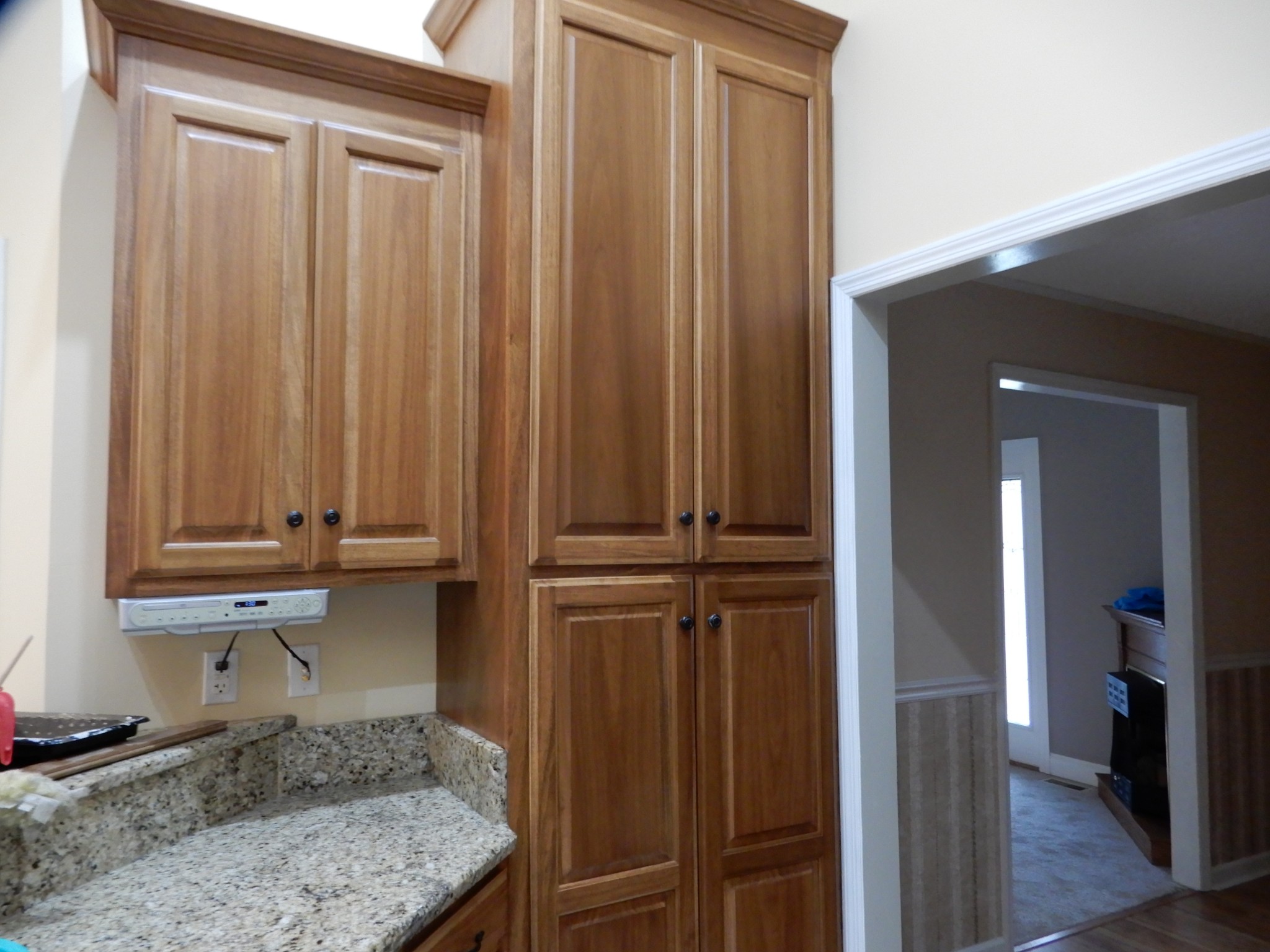1926 Hunters Run Road Lewisburg, TN 37091 - Photo 10 of 50 Pantry cabinet has roll out shelves
