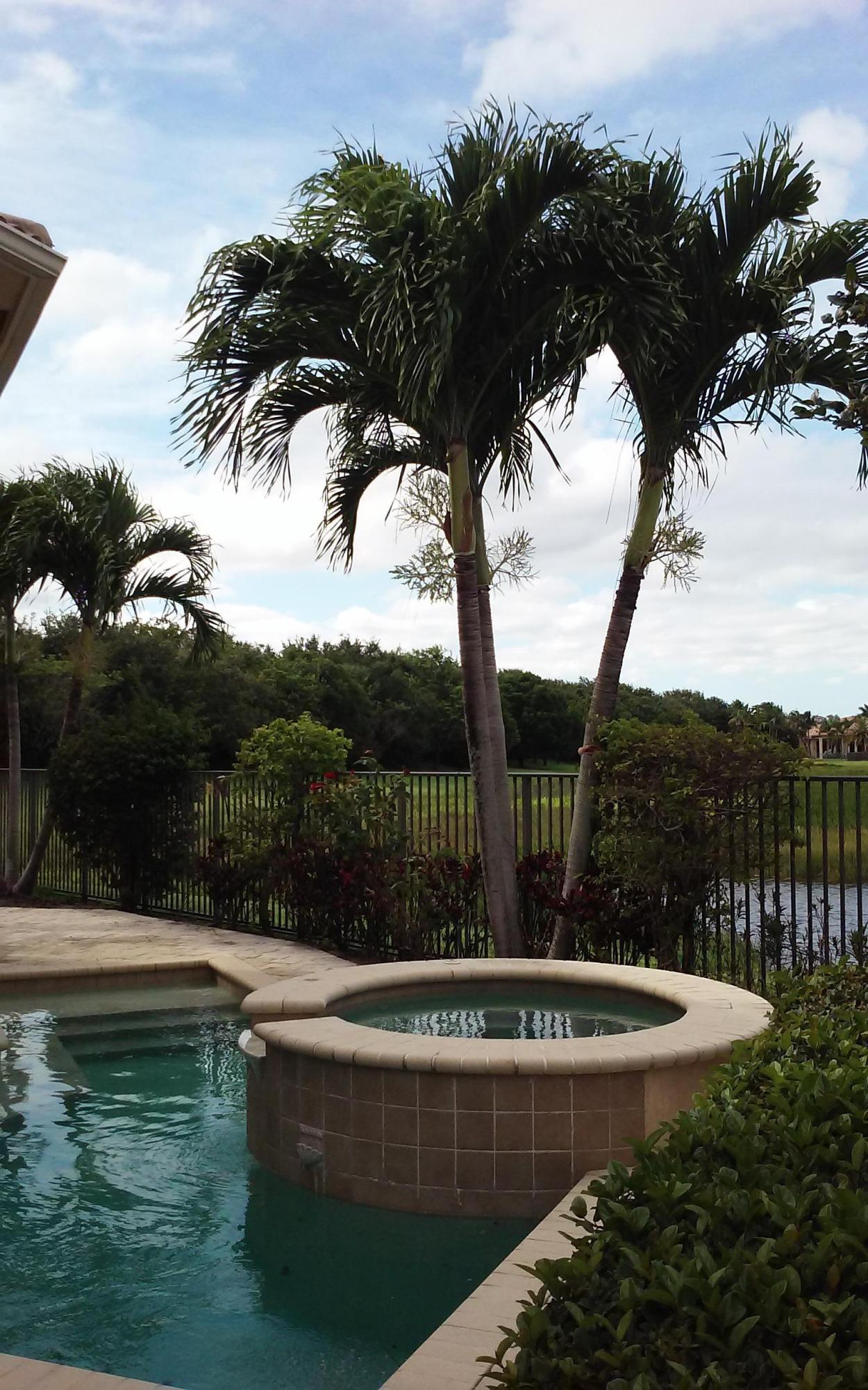 18011 Lake Azure Way Boca Raton, FL 33496 - Photo 16 of 32 20160621_164655