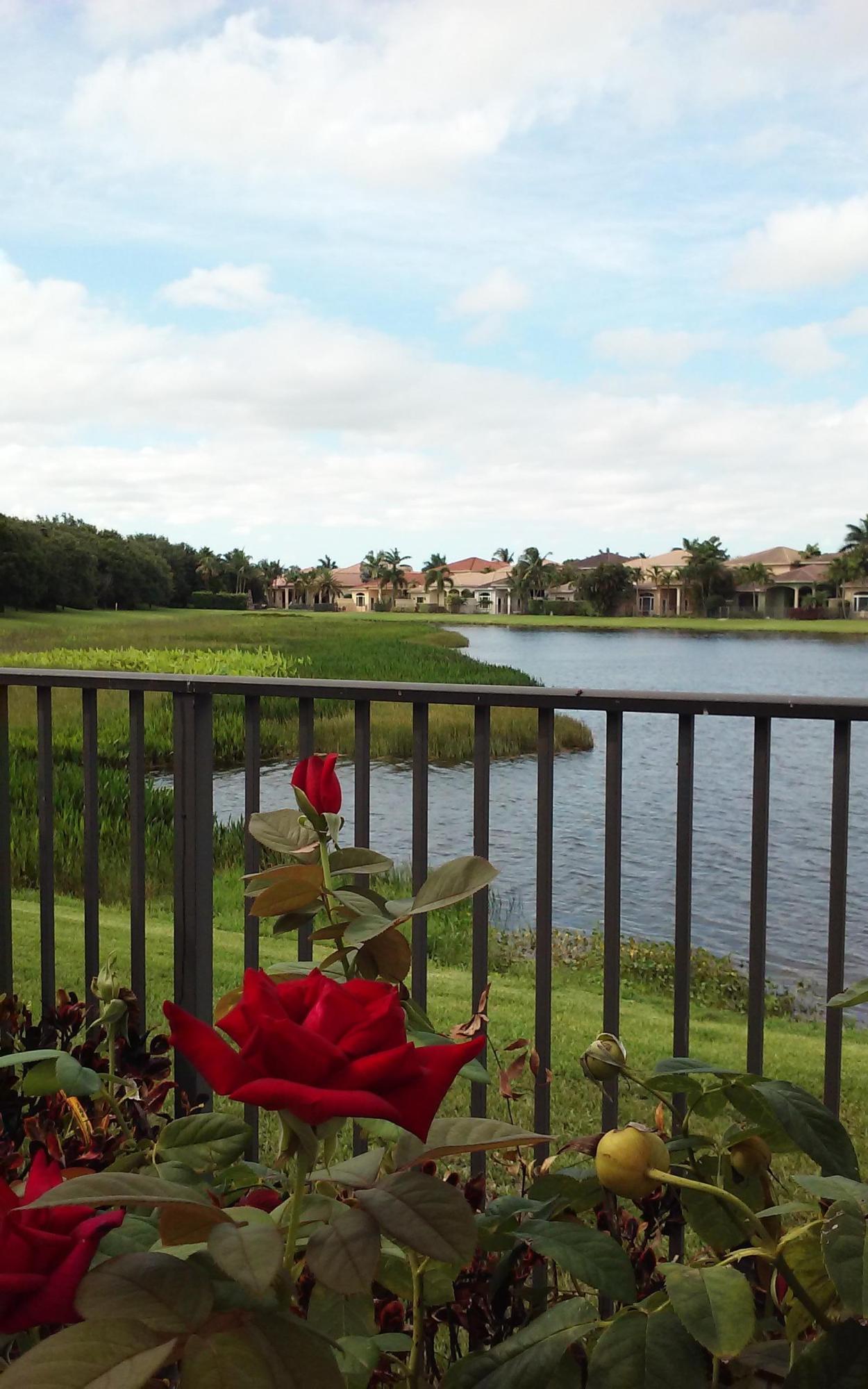18011 Lake Azure Way Boca Raton, FL 33496 - Photo 17 of 32 20160621_164840