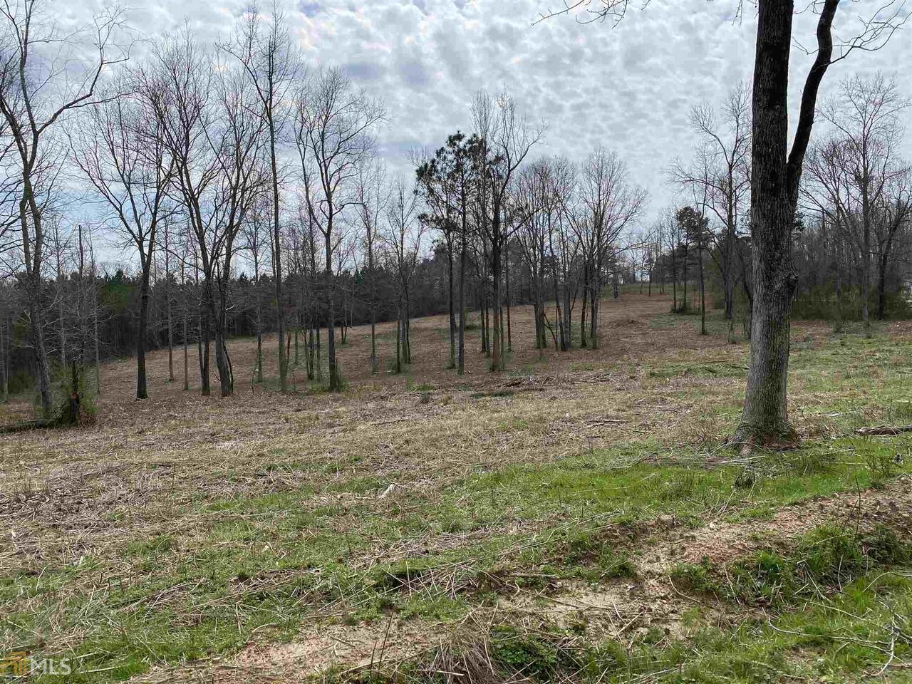 0 Little Vine Church Road, Unit TRACT 2 Villa Rica, GA 30180 - Photo 1 of 1 Gallery Image 1