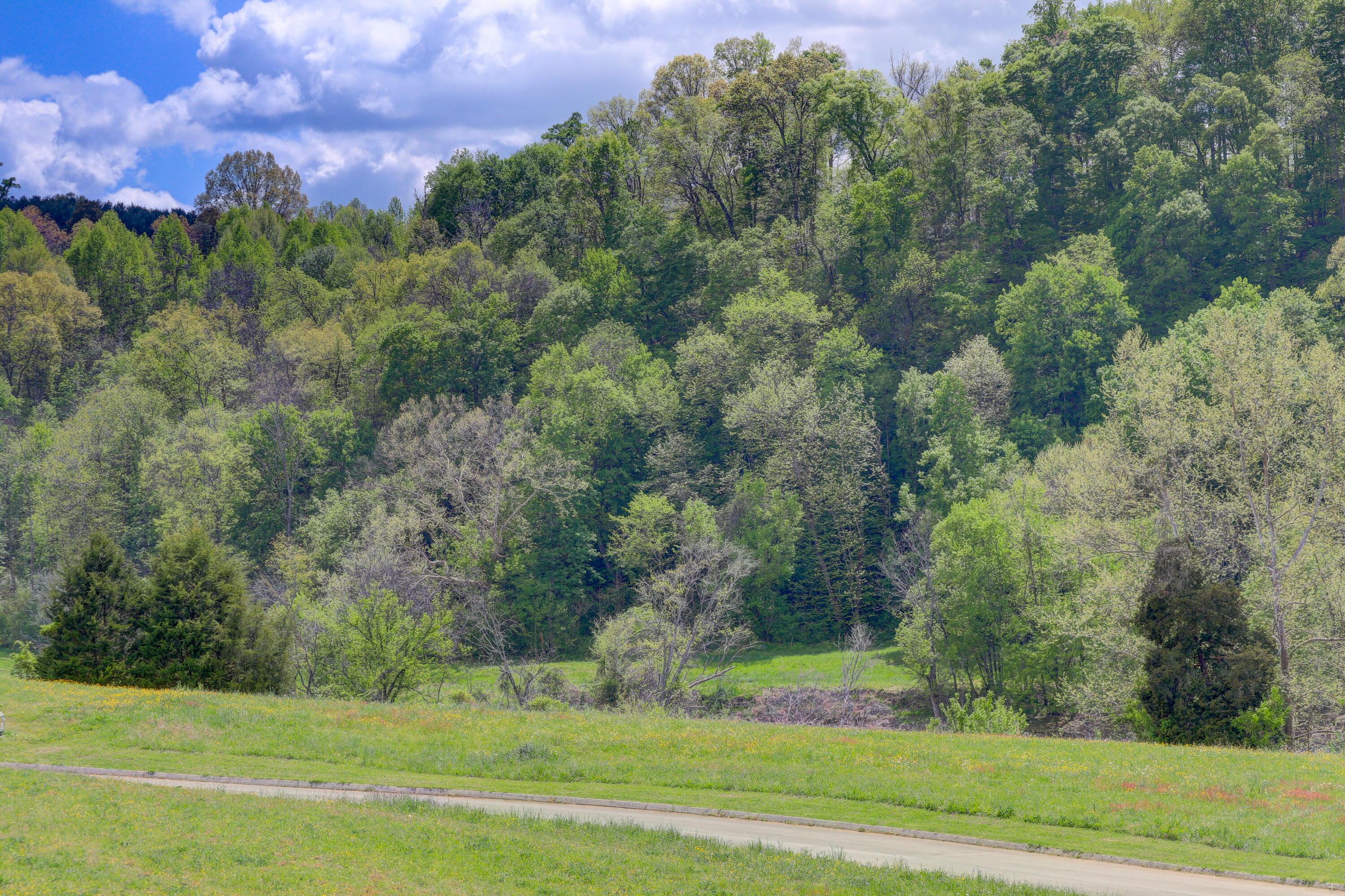 River Stone Road Blaine, TN 37709 - Photo 12 of 12 Positive Perceptions-9
