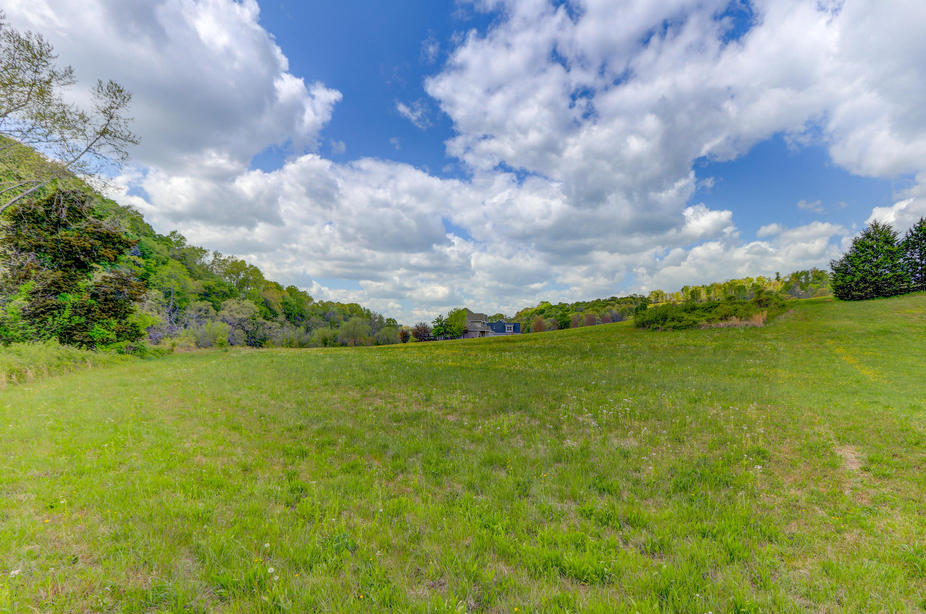 River Stone Road Blaine, TN 37709 - Photo 8 of 12 Positive Perceptions-5
