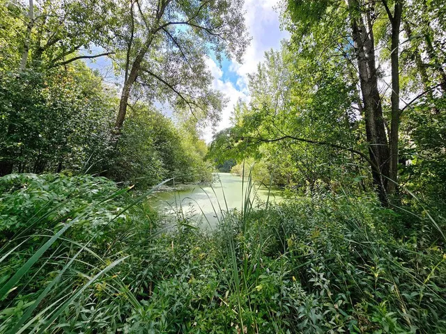 $345,000 | 2560 County Rd H2, Mounds View, MN 55112