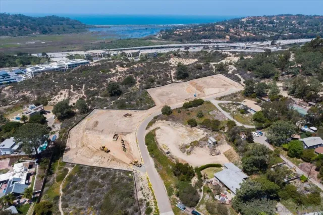 a view of a yard with plants