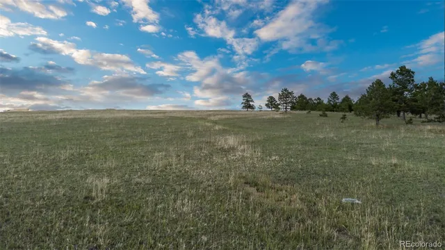 a view of a field with an trees in back