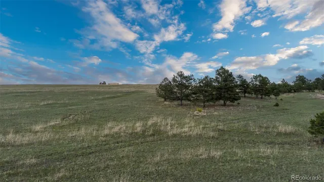 a view of a field with an trees